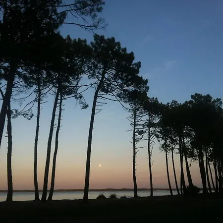 Maison De Vacance Avec Jardin 8 Personnes Villa Biscarrosse